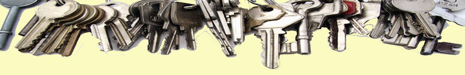 live222009_yellow_1.jpg